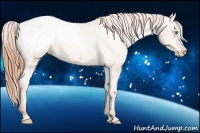 Horse Color:Buckskin Pearl Snowcap