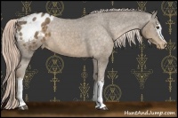 Horse Color:White Spotted Chocolate Palomino Blanket