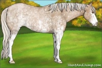 Horse Color:White Spotted Silver Black Pearl