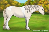 Horse Color:Perlino Roan Tobiano 