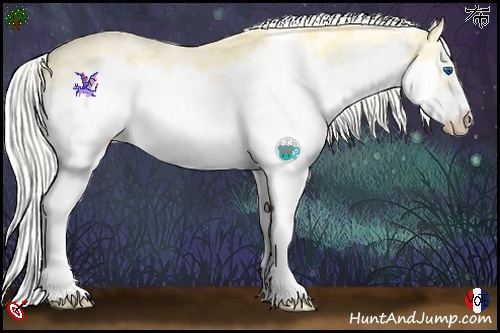 Horse Color:White Spotted Silver Classic Cream Champagne Ice Dun Splash Frame
