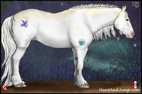 Horse Color:White Spotted Silver Classic Cream Champagne Ice Dun Splash Frame