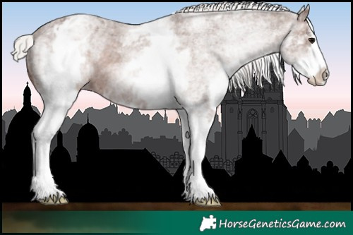 Horse Color:White Spotted Silver Black Splash Varnish