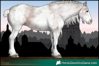 Horse Color:White Spotted Silver Black Splash Varnish
