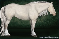 Horse Color:White Spotted Silver Grullo Varnish 
