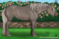 Horse Color:Silver Black Frame
