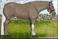 Horse Color:Silver Smoky Black 