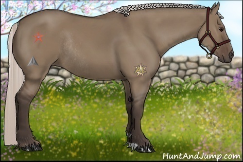Horse Color:Silver Grullo Rabicano