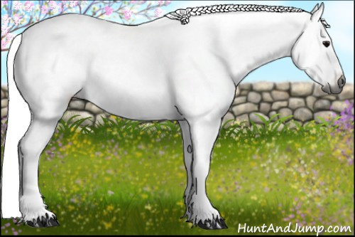 Horse Color:Gray White Spotted Black Splash Frame