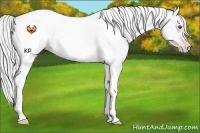 Horse Color:Silver Amber Champagne Chinchilla Roan Tobiano 