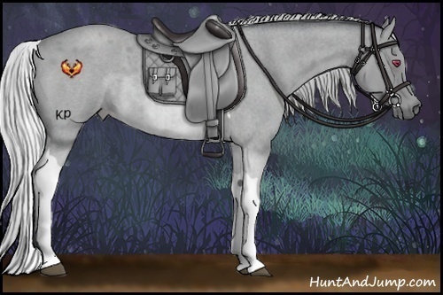 Horse Color:Silver Bay Chinchilla Roan Tobiano 