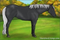 Horse Color:Silver Black Chinchilla
