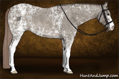 Horse Color:White Spotted Chocolate Palomino Ice Roan 
