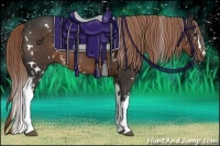 Horse Color:White Spotted Liver Chestnut 