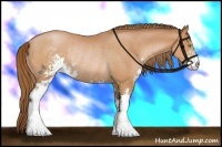 Horse Color:Bay Pearl Sabino Rabicano