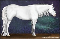 Horse Color:Silver Black Splash Appaloosa Rabicano 