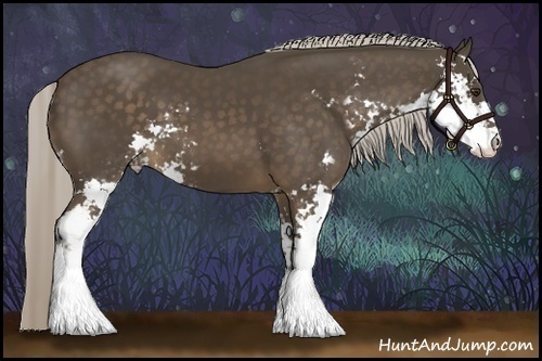 Horse Color:Chocolate Palomino Sabino 