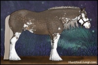 Horse Color:Chocolate Palomino Sabino 