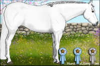 Horse Color:Gray Bay 