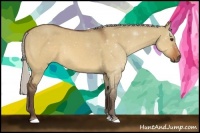 Horse Color:Silver Bay Dun Sabino Rabicano