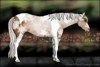 Horse Color:Silver Brown Ice Tobiano 