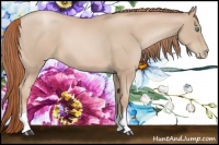 Horse Color:Smoky Black Pearl 
