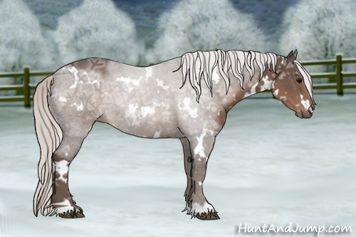 Horse Color:White Spotted Silver Black Ice 