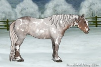 Horse Color:White Spotted Silver Black Ice