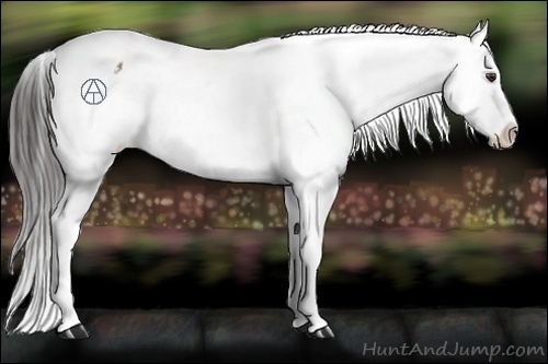 Horse Color:Liver Chestnut Snowflake Varnish