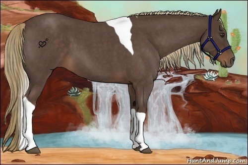 Horse Color:Liver Red Roan Tobiano