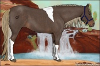 Horse Color:Liver Red Roan Tobiano 