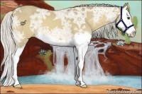 Horse Color:Palomino Ice Dun Splash 