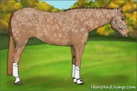 Horse Color:Chestnut Ice Tobiano