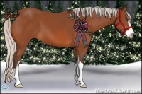 Horse Color:Silver Bay Sabino 