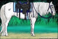 Horse Color:Liver Chestnut Sabino Appaloosa 