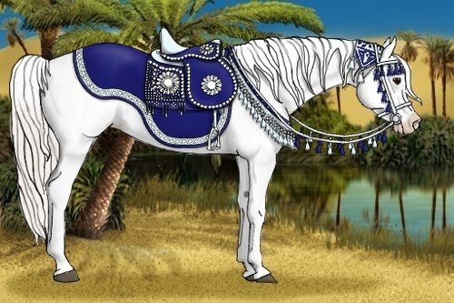 Horse Color:Silver Brown Appaloosa Rabicano 