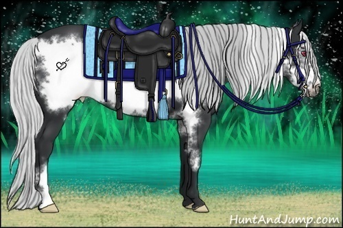 Horse Color:Silver Black Chinchilla Frame 