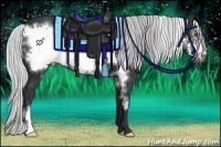 Horse Color:Silver Black Chinchilla Frame 