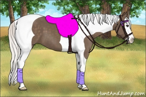 Horse Color:Silver Black Splash Tobiano 