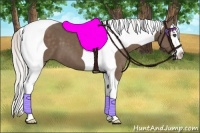 Horse Color:Silver Black Splash Tobiano