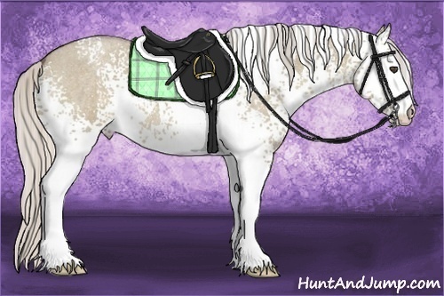 Horse Color:White Spotted Silver Smoky Grullo Roan 