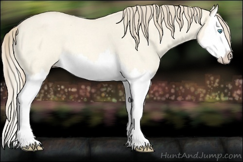 Horse Color:Perlino Roan Dun Splash 