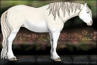 Horse Color:Perlino Roan Dun Splash