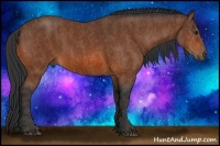 Horse Color:Bay Brindle