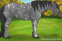 Horse Color:Black Ice 