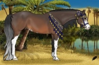 Horse Color:Brown Sabino