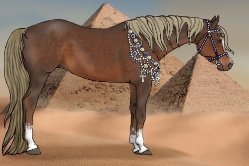 Horse Color:White Spotted Liver Chestnut 