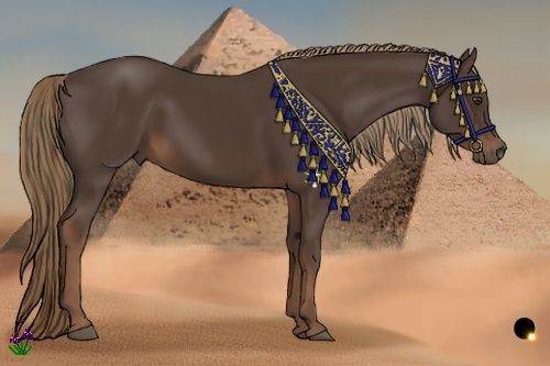 Horse Color:Liver Chestnut Sabino 