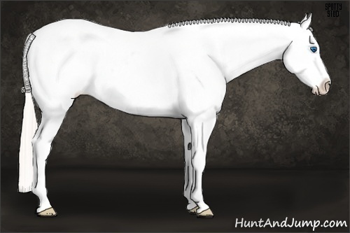 Horse Color:Silver Sable Champagne Frame Leopard 