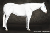 Horse Color:Silver Sable Champagne Frame Leopard 
